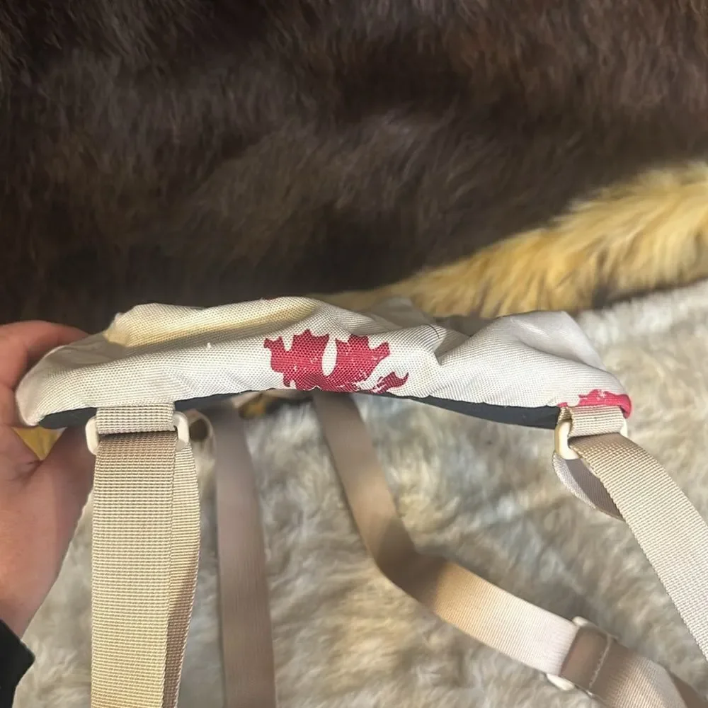 The North face mini backpack (3450)